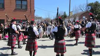 Stratford Police Pipes and Drums Band  clip 0879 [upl. by Ydolem]