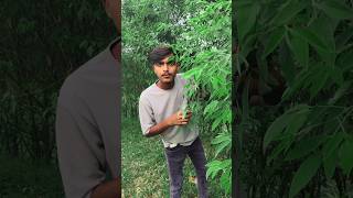 Aao sunao pyar ki ek kahani comedy funny ytshorts shorts viralshort youtubeshorts [upl. by Reiniar]