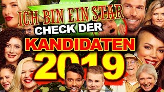 DSCHUNGELCAMP 2019 ALLE Kandidaten im CHECK  Gisele Yotta Evelyn amp Co [upl. by Reltuc687]