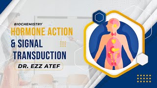 Biochemistry  Endocrine  Hormone action amp Signal transduction [upl. by Archibold]