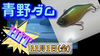 青野ダム【バス釣りブログ】おかっぱり【バイブレーション】 [upl. by Gnilsia692]