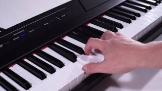 Alesis Recital Overview [upl. by Yellek]