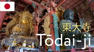 Todaiji Temple 東大寺  Nara  Japan [upl. by Huggins]