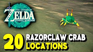 BEST Razorclaw Crab Farm  Zelda Tears Of The Kingdom [upl. by Boyd]