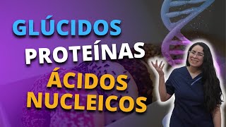 Clase 7 Glúcidos Proteínas Ácidos Nucleicos [upl. by Enner]