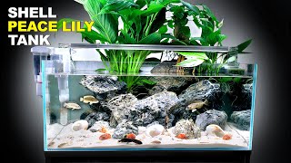 Peace Lily Shallow Shell Dwelling Fish Aquarium Aquascape Tutorial [upl. by Eglanteen]