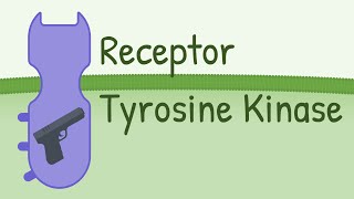 Receptor Tyrosine Kinase  MAPK Pathway [upl. by Welcy]