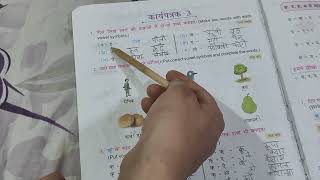 Class 4 Hindi Grammar chapter स्वरों की मात्राएँ kidsknowledgepoint [upl. by Limann555]