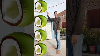 Rounding cut green coconuts to crow pigeon parrot amp peacock Birds names magic video [upl. by Jonina]