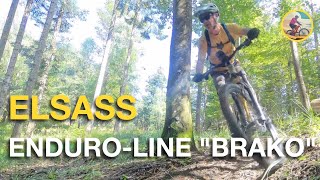 MTB Enduroline  Brako  Elsass  Vosges  France [upl. by Joe385]