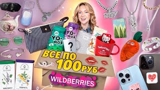 100 ТОВАРОВ по 100 РУБЛЕЙ с WILDBERRIES Товары Для Дома Вкусняшки Аксессуары Одежда Канцелярия [upl. by Nagaek]