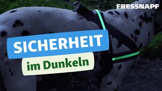 Top 4 Tipps Sicherheit im Dunkeln  Hund  FRESSNAPF [upl. by Enriqueta]