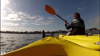 Kayaking  Weedon Island Preserve [upl. by Harobed]