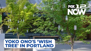 LIVE Yoko Onos Wish Tree comes to the Portland Japanese Garden [upl. by Nnelg]