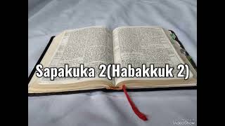 Tusi Paia Samoa  Feagaiga Tuai Sapakuka 2 Old Testament Habakkuk 2 [upl. by Derayne]