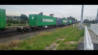 G516 Swift livery going pass Marrickville station in November 2023 friendly toot too [upl. by Eemla803]