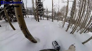 Snowboarding the Best Tree Runs at Park City Mountain Resort  Canyons  Dreamscape [upl. by Ahsilyt245]