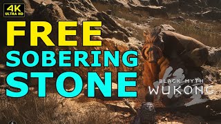 HOW TO GET FREE SOBERING STONE  BLACK MYTH WUKONG blackmyth wukong tips [upl. by Eicart673]