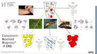 Webinar Molekulare Allergene Ein entscheidender Schritt zu mehr Präzision in der Diagnosti [upl. by Crowell]