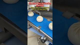 Baozi production machine high production efficiency up to 120 meters per minute [upl. by Atinhoj]