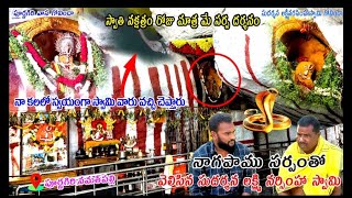 purnagiri lakshmi narasimha purnagiri laxmi narasimha yadadri bhonagiri trending viralvideo [upl. by Kirt]