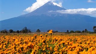 Atlixco Puebla México [upl. by Uon]