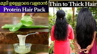 Best protein hair pack for hair growth❤Aloe vera hair pack❤Natural Keratin Hair pack❤Hair Regrowth [upl. by Omik606]