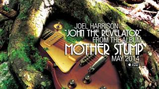 Joel Harrison  John The Revelator AUDIO [upl. by Elurd]