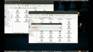 Grim Fandango LinuxUbuntu Installation [upl. by Caines]