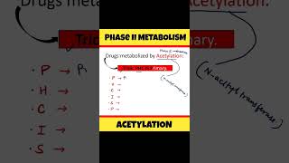 Trick to remember drugs metabolized by Acetylation ytshorts [upl. by Stalker]