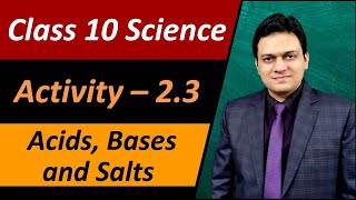 Activity 23 Class 10 Science Chapter 2 Acids Bases and Salts [upl. by Pfosi757]