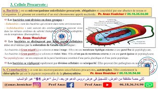 Biologie Cellulaire BCG S1  Chapitre I  Généralités 2ème Partie شرح بالدارجة [upl. by Atoked177]