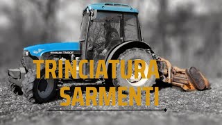 TRINCIAMO i rami in VIGNA con NEW HOLLAND TNF 90  BERTI [upl. by Chrystal]