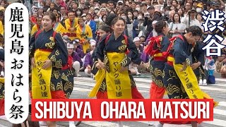 渋谷 鹿児島 おはら祭 Shibuya Kagoshima Ohara Matsuri 2024 [upl. by Haeluj608]