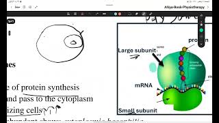 شرح Non  membranous Organelle  Ribosomes  Filaments  Microtubules  ب طريقة مبسطة لعلاج طبيعي [upl. by Swann982]