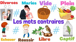 Apprendre les mots contraires en français partie 2 [upl. by Irehj]