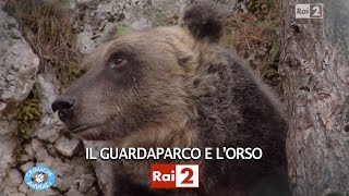 IL GUARDAPARCO E LORSO [upl. by Artemas]