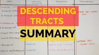 Descending Tracts  Summary [upl. by Gillian]