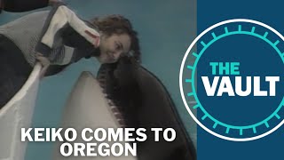 Keiko’s journey from captivity to the Oregon Coast  KGW Vault [upl. by Kwan]