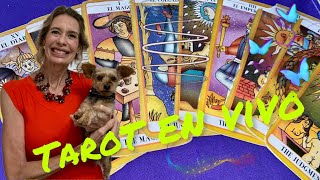 ⭐️DESCUBRE TU DESTINO LECTURAS TAROT GRATIS PAYPAL SUPERCHAT MP tarot [upl. by Eelyk]