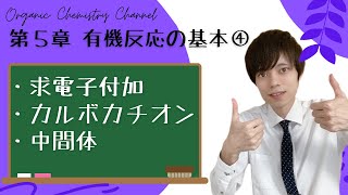 【大学 有機化学】～第５章 有機反応の概観④～ 求電子付加反応 カルボカチオン中間体 [upl. by Fanchette]