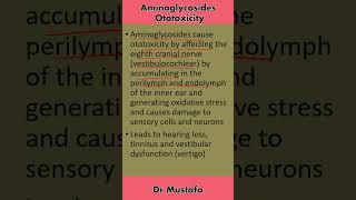 Aminoglycosides Ototoxicity Explained [upl. by Adnoyek]