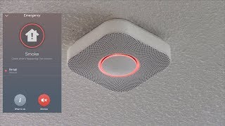 Testing the Nest Protect Smoke Alarm with Fire [upl. by Tannenwald]