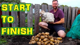 Growing Potatoes from Start to Finish  In a UK Allotment [upl. by Mela]