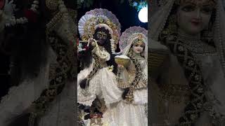 Shri Radha Radha🙏🙏🙏radhakrishnakrishnabhajan vrindavan ytshorts shortsviral [upl. by Anaej]