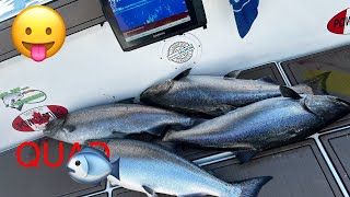 Toronto Fishing Report  July 7 2024  Kings Landing Sport Fishing [upl. by Hillyer]