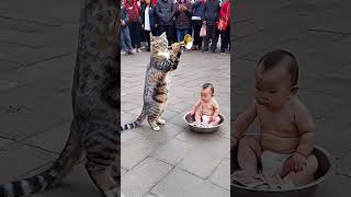 The cat takes the baby and plays the trumpet in the square Cute Pet Debut Plan Animal’s Confused [upl. by Mairim]