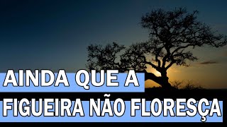 AINDA QUE A FIGUEIRA NÃO FLORESÇA [upl. by Thaddeus45]