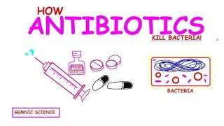 Antibiotics Explained How They Kill Bacteria and Fight Infectionsquot [upl. by Pernas455]