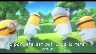 Minions los chones ingles Letra [upl. by Alvera342]